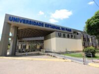 Professores da UESPI paralisam atividades em todo o estado na véspera do Dia dos Professores
