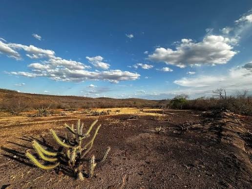 Piauí tem 16 municípios em situação de emergência devido à seca, diz Ministério