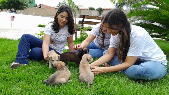 Secretaria de Proteção e Defesa Animal e APAPI realizam “Feirinha de Adoção” nesta sexta-feira (23)